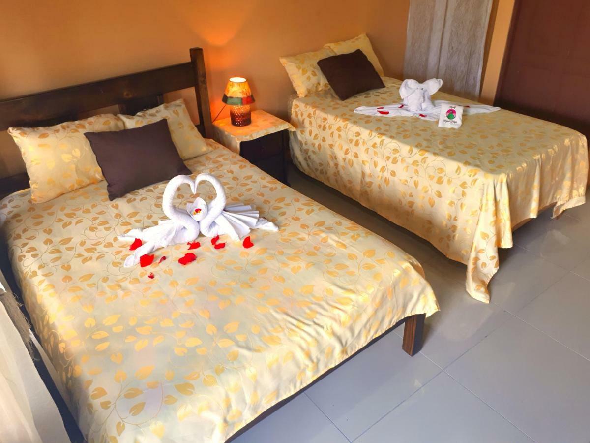 Aunty Arenal Lodge La Fortuna Pokój zdjęcie