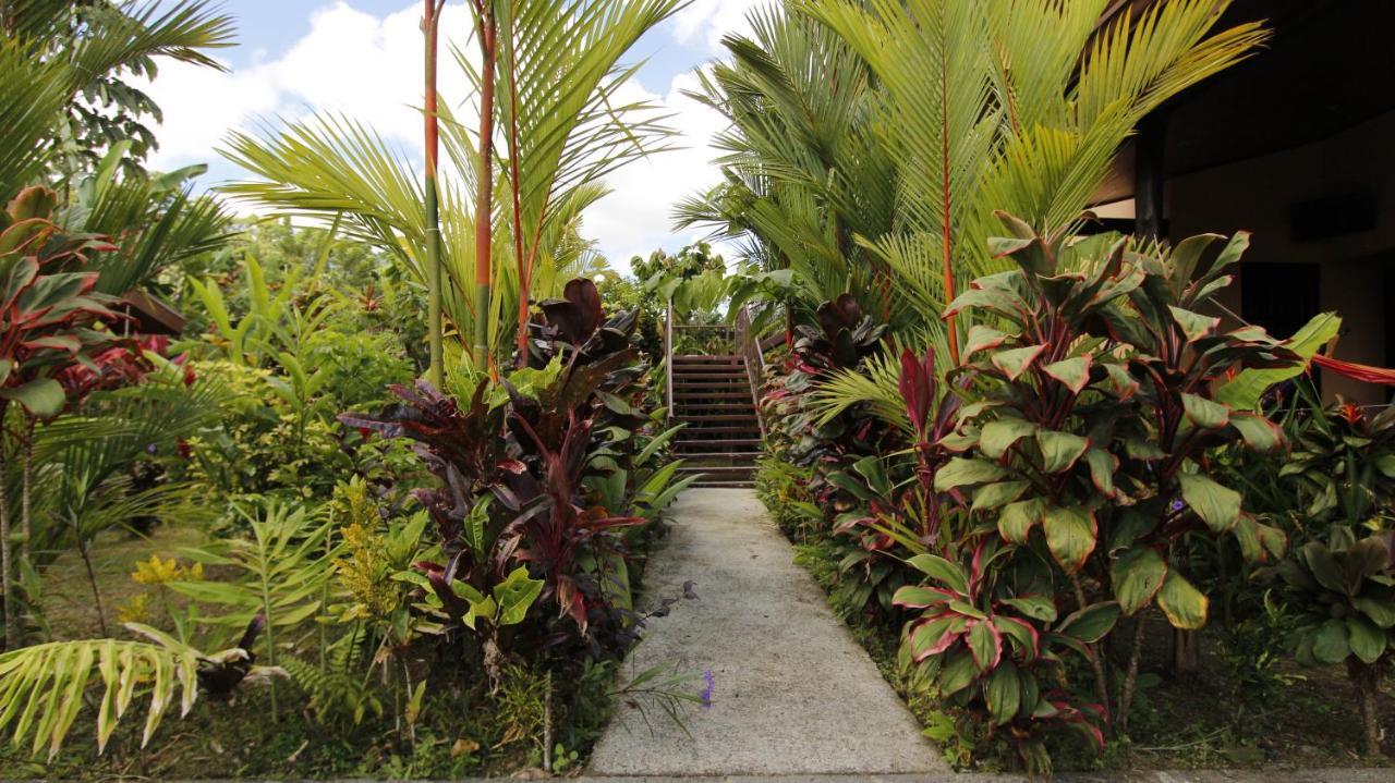Aunty Arenal Lodge La Fortuna Zewnętrze zdjęcie
