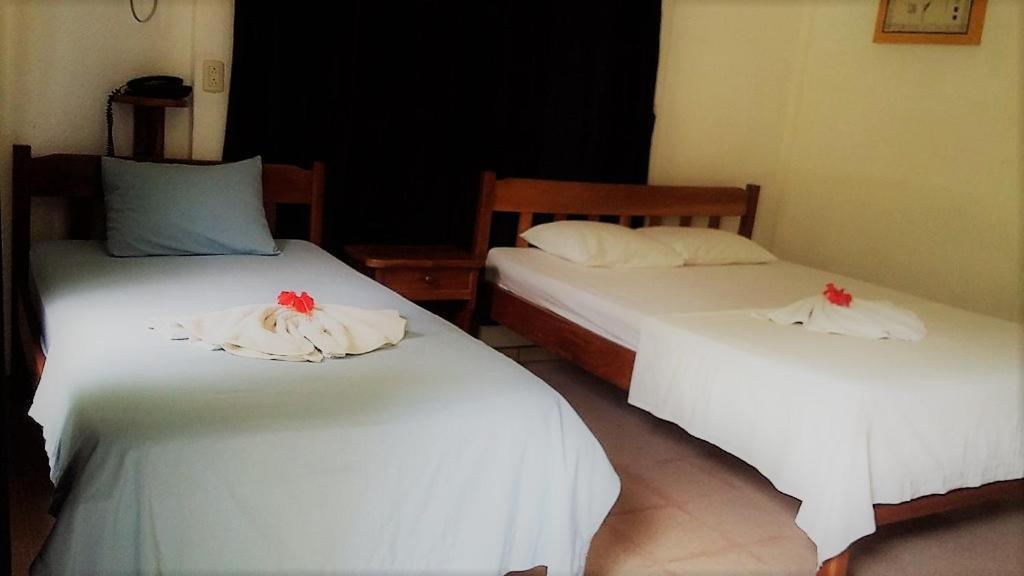 Aunty Arenal Lodge La Fortuna Zewnętrze zdjęcie